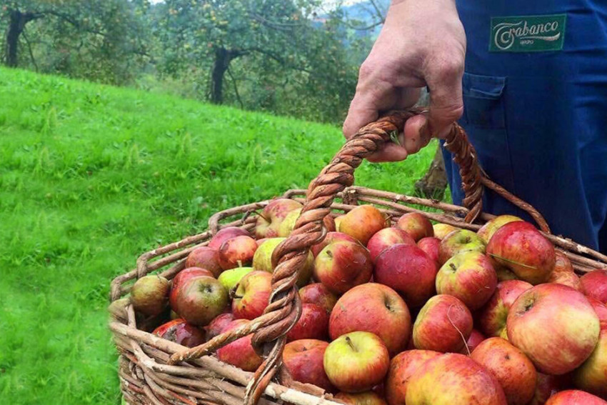 En favor de lo nuestro: Sidra Trabanco forma parte del grupo Manzano de Sidra de Asturias